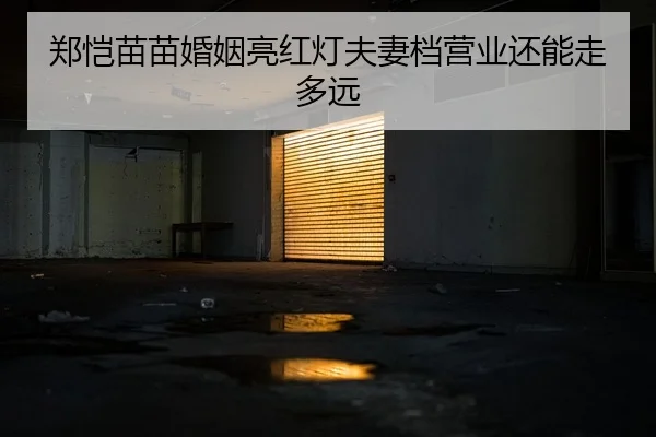 郑恺苗苗婚姻亮红灯夫妻档营业还能走多远