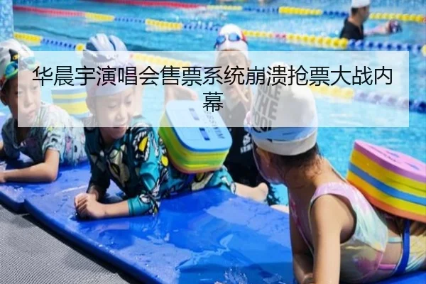 华晨宇演唱会售票系统崩溃抢票大战内幕